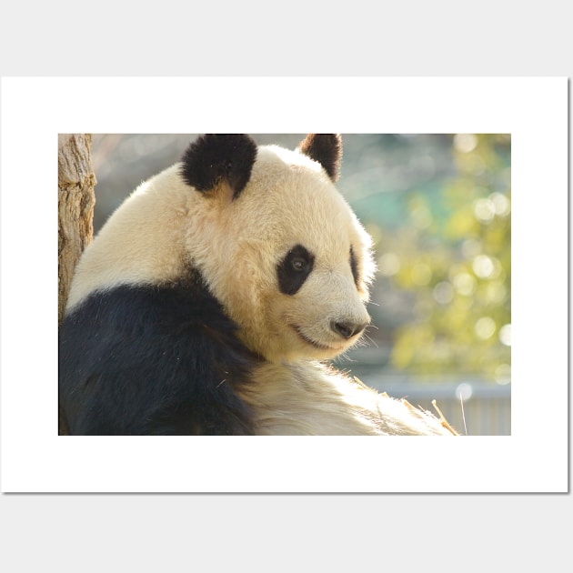 Giant Panda Wall Art by kawaii_shop